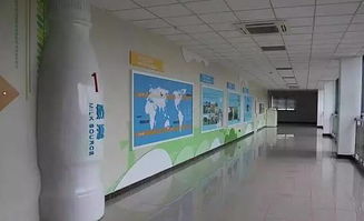 春意盎然，活力蘇州 從草莓采摘到千人徒步，一周熱門活動指南（2.27-3.5）